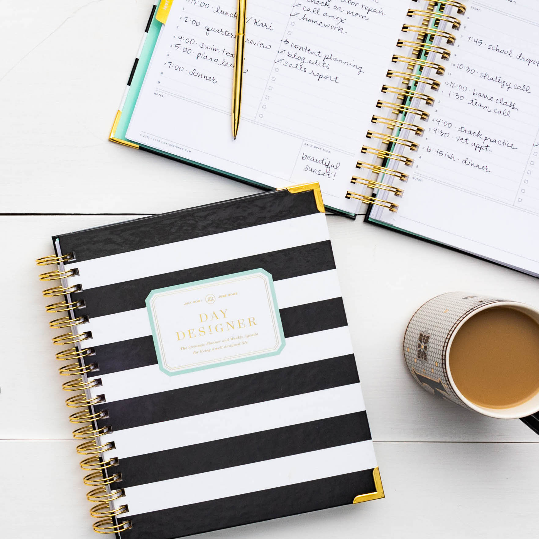 Day Designer Daily Planner