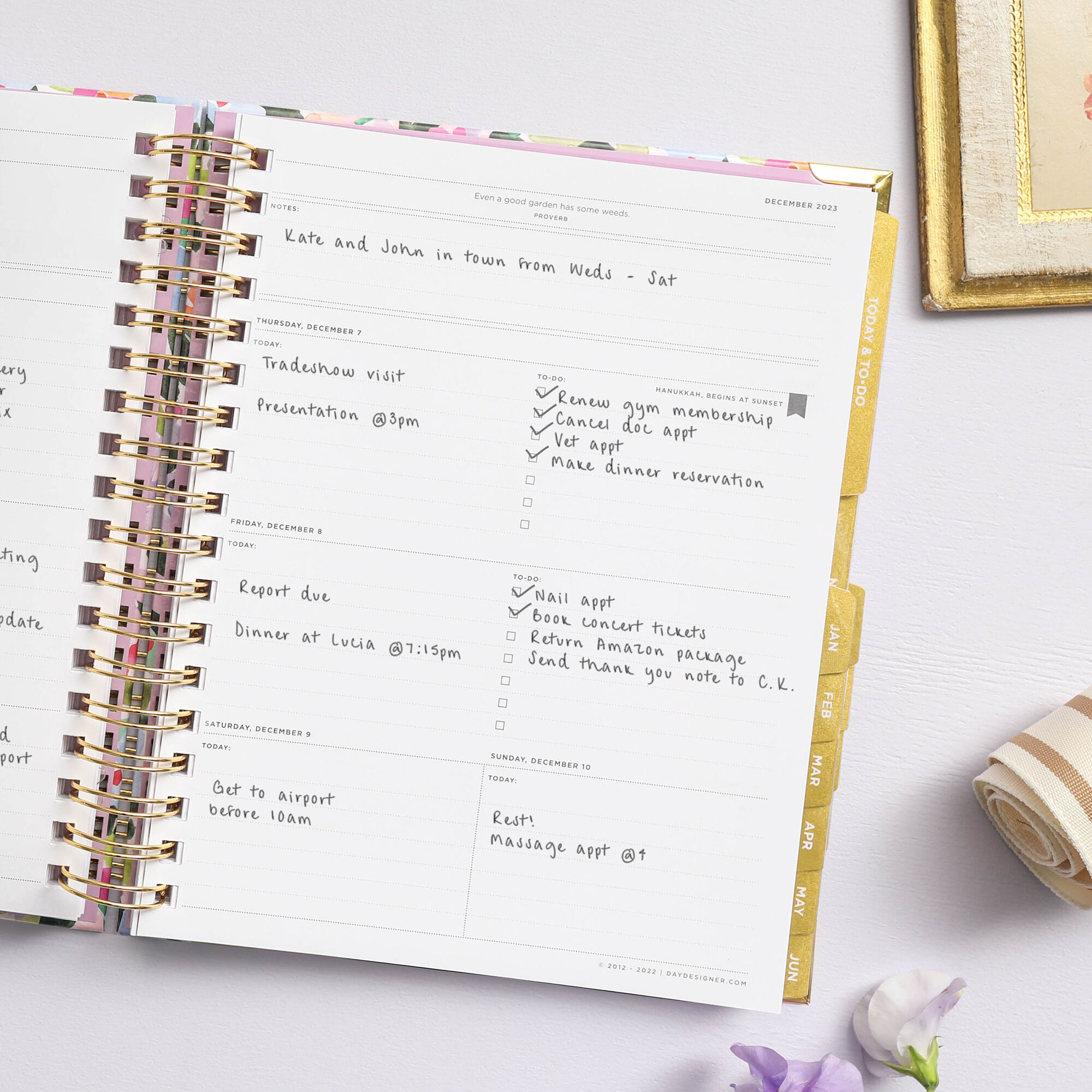 Launch Preview Choosing the right planner! - Day Designer